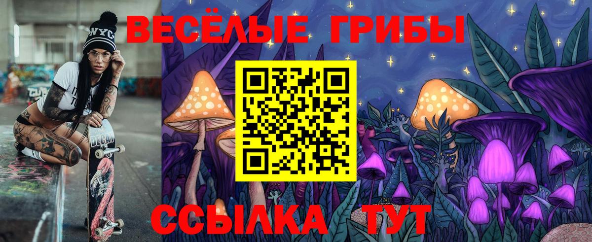 Галлюциногенные грибы Psilocybe Калуга